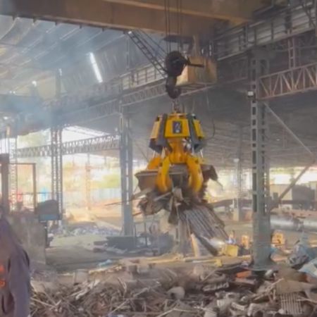 electro Hydraulic Cactus Grab